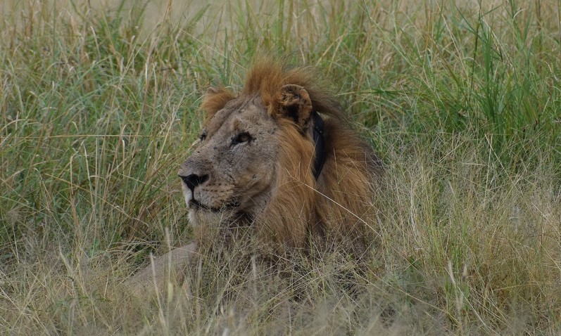 Prečo sa bojíme ísť do Afriky?